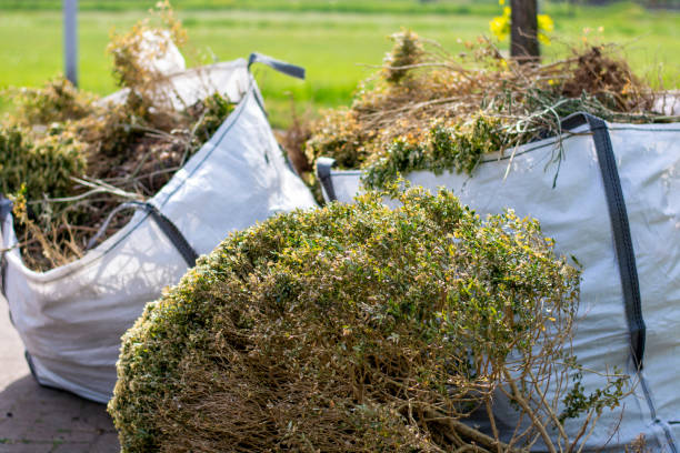 Best Full-Service Junk Removal  in Wahoo, NE